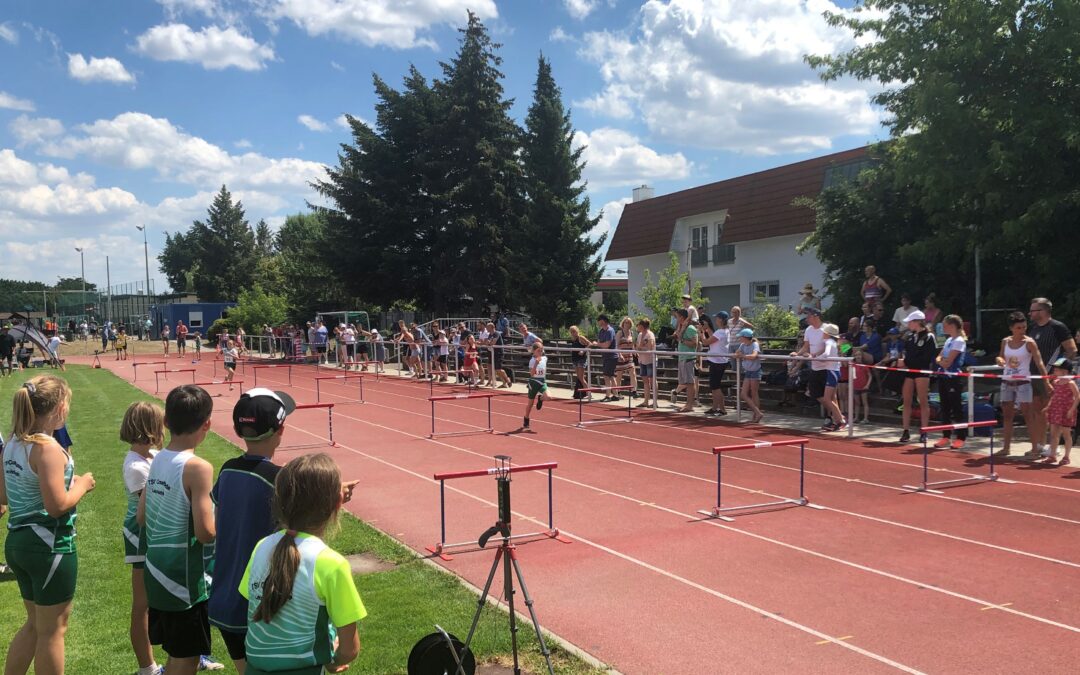 Tolle Stimmung beim Cossebauder Leichtathletik Sportfest