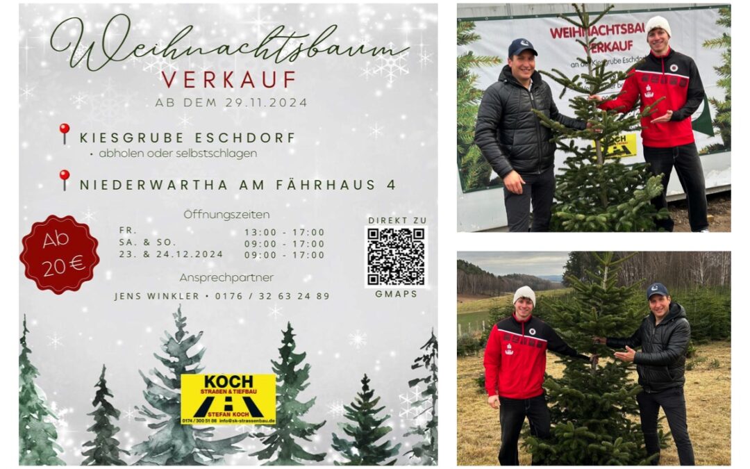 Weihnachtsbaum-Aktion: Rabatte beim Weihnachtsbaum-Kauf für alle Sportler des TSV Cossebaude